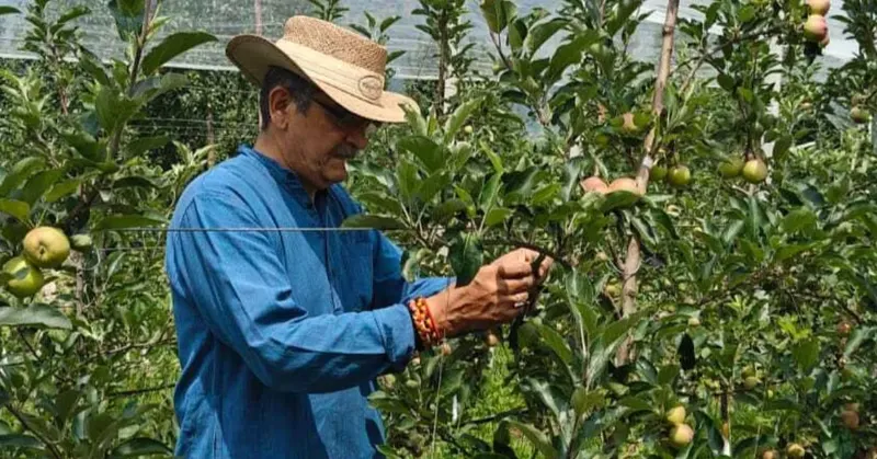 Veteran jadi petani Veteran Perang Nekat Jadi Petani Apel, Kini Sukses Bisa Panen 11 Ton