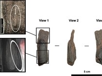 Ilmuwan Temukan Alat Kayu Tertua di Dunia Berusia 430.000 Tahun