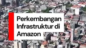 Video: Amazon Ternyata Bukan Hanya Hutan Hujan