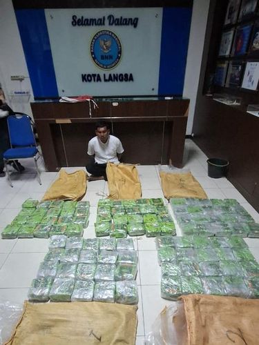 Badan Narkotika Nasional (BNN) menggelar operasi gabungan di Aceh. Seorang pelaku ditangkap beserta barang bukti sabu seberat 100 kg. (dok BNN)