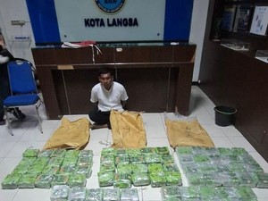 BNN Ungkap Kasus di Aceh: 1 Orang Ditangkap, 100 Kg Sabu Disita
