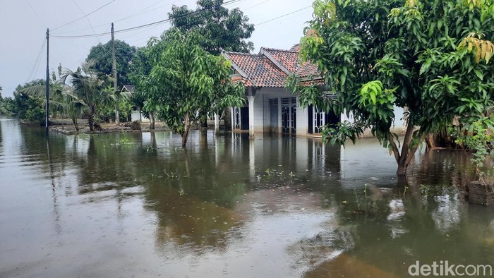Kondisi genangan banjir di Desa Mintobasuki Kecamatan Gabus, Pati, Selasa (27/1/2026).