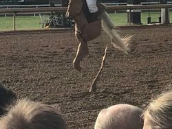 Niat Foto Panorama Epik, Hasilnya Absurd dan Bikin Ngakak