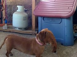 Niat Foto Panorama Epik, Hasilnya Absurd dan Bikin Ngakak