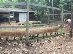 Niat Foto Panorama Epik, Hasilnya Absurd dan Bikin Ngakak