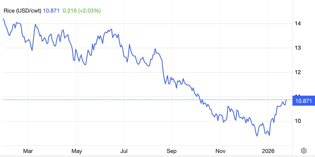 Harga Beras Global Menurut Trading Economics
