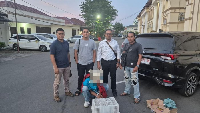 Polisi menangkap pelaku penjualan dua ekor siamang di Kota Jambi, Jambi