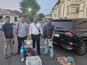 Penjual 2 Ekor Siamang Jantan di Jambi Ditangkap Polisi