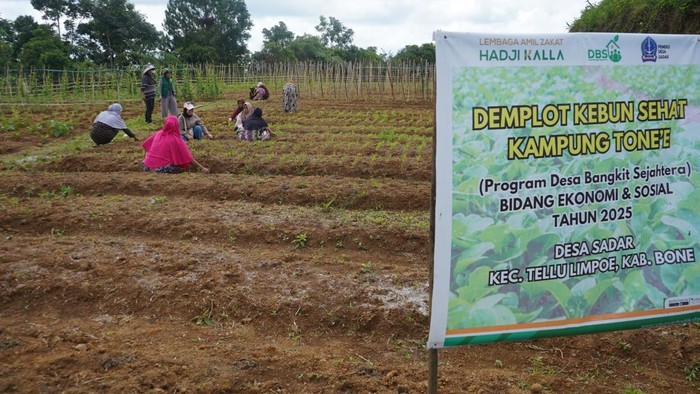 LAZ Hadji Kalla Bantu Petani Lewat Program DBS, Hasil Panen Naik 60%