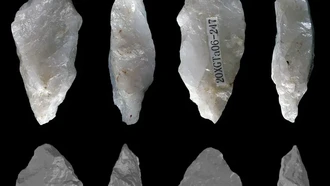 Temuan Baru Buktikan Kecanggihan Manusia Purba Asia