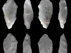 Temuan Baru Buktikan Kecanggihan Manusia Purba Asia