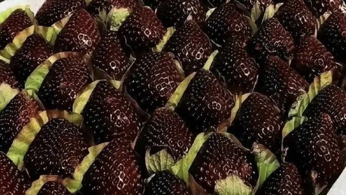 Black Pearl Strawberries
