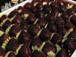 Dijuluki Hermes-nya Stroberi, Buah Ini Dijual Hampir Rp700 Ribu
