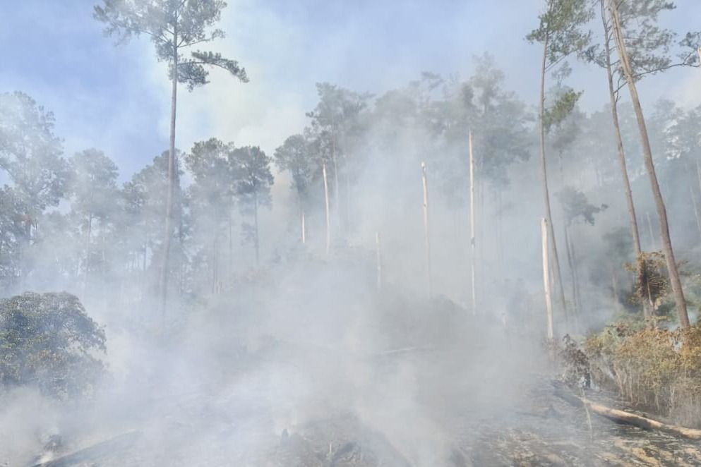 BPBD menurunkan petugas pemadam kebakaran Posko Parapat untuk melakukan pemadaman kebakaran hutan dan lahan di kawasan Parapat, Kabupaten Simalungun, Sumatera Utara pada Senin (26/1). (Dok. BPBD Provinsi Sumatera Utara)