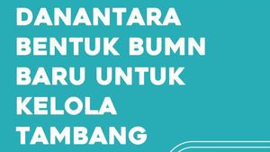 Video: Danantara Bentuk BUMN Baru untuk Kelola Tambang