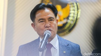 Catatan Yusril Usai Tegaskan Pemerintah Tak Larang Pemutaran Film 'Pesta Babi'