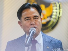 Catatan Yusril Usai Tegaskan Pemerintah Tak Larang Pemutaran Film Pesta Babi