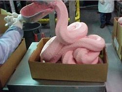 Foto-Foto yang Pernah Viral Ternyata Punya Cerita Berbeda dari Klaimnya
