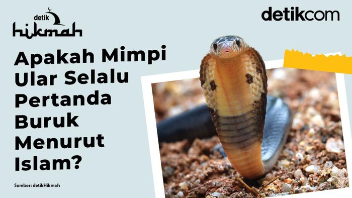 Infografís Tasfir Mimpi Ular