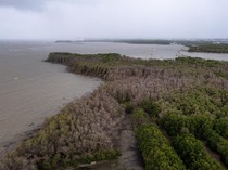 Karbon, Keamanan Nasional dan Kesiapan Indonesia