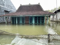Banjir Pati Bertahan Hampir 3 Pekan, Pemkab Minta Sodetan Sungai Juwana