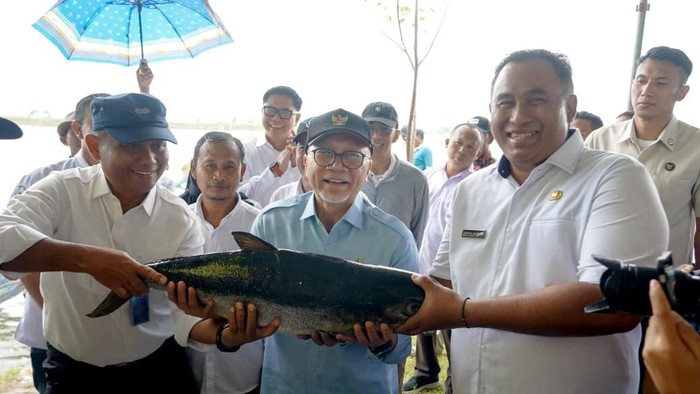 Menko Pangan Zulhas Dorong Penguatan Budidaya Perikanan di Gresik