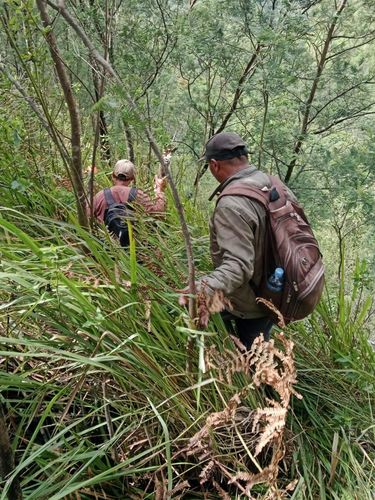 Proses pencarian Yasid, pendaki yang hilang di Bukit Mongkrang, Karanganyar, Rabu (28/1/2026).