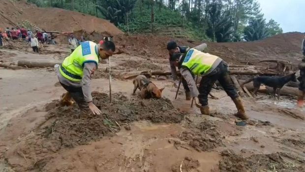 Polres Pemalang mengerahkan anjing pelacak untuk mencari korban longsor di Watukumpul, Rabu (28/1/2026). Polres Pemalang mengerahkan anjing pelacak untuk mencari korban longsor di Watukumpul, Rabu (28/1/2026).
