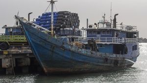 Potret Kapal Pengangkut 70 Ton Daging Ilegal yang Diamankan di Perairan Kepri