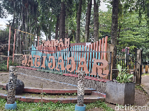 Seru Berakhir Pekan di Taman Jatijajar, tetapi Tolong Jangan Rusak Rumputnya!