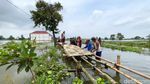 Warga Lamongan Bangun Jembatan Darurat dari Bambu di Banjir Bengawan Jero