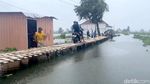 Warga Lamongan Bangun Jembatan Darurat dari Bambu di Banjir Bengawan Jero