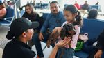 Anjing Lucu Ini Bekerja di Bandara, Bertugas Menenangkan Penumpang