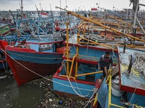 Kapal Nelayan Menumpuk, Kolam Labuh Muara Angke Diperbesar