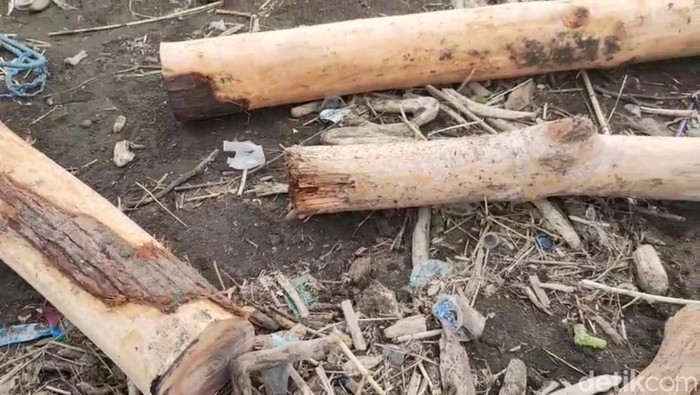 Log kayu hutan di pantai larangan yg terbawa arus Kali Gung saat banjir