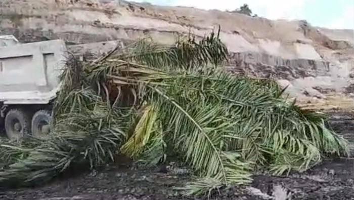 Ketegangan terjadi di Desa Tengkapak, Kecamatan Tanjung Selor, Kabupaten Bulungan, Kalimantan Utara, setelah kebun plasma warga diratakan aktivitas pertambangan batu bara.