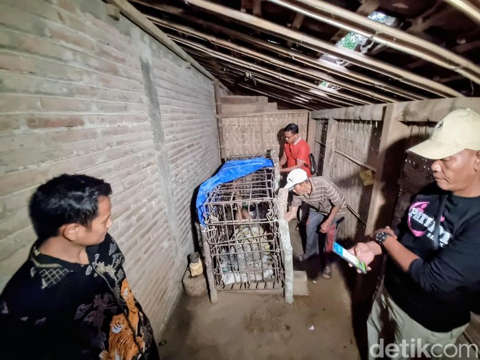 Kirno, ODGJ di Ponorogo yang dipasung selama 20 tahun