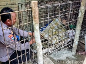 252 ODGJ di Jatim Masih Dipasung, Ini Penyebabnya