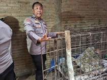 Momen ODGJ di Ponorogo Dievakuasi Setelah 20 Tahun Dipasung