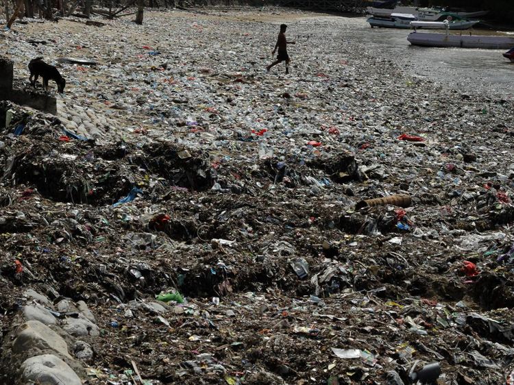 Miris, Pesisir Taman Wisata Laut Teluk Kupang Jadi Lautan Sampah
