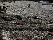 Miris, Pesisir Taman Wisata Laut Teluk Kupang Jadi Lautan Sampah