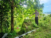 Vario Tabrak Pembatas Lalu Terjun ke Jurang Kulon Progo, 2 Orang Tewas