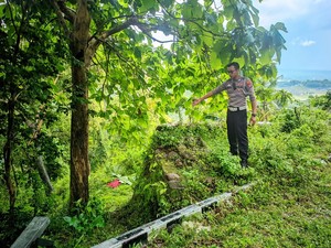 Vario Tabrak Pembatas Lalu Terjun ke Jurang Kulon Progo, 2 Orang Tewas