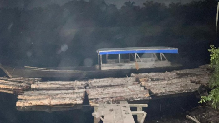 Polda Riau Bongkar Illegal Logging: Sita Kayu Gelondongan dan Jerat 3 Pelaku