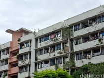 Malangnya Rusun Tepi Laut Jakarta: Lantai Retak, Tembok Tumbuh Tanaman