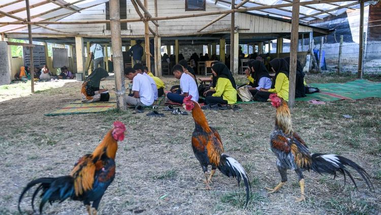 Sekolah Darurat Desa Agusen Bangkitkan Harapan Pendidikan Pascabanjir Bandang