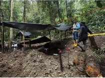 Ratusan Struktur Kuno Ditemukan di Hutan Hujan Ekuador