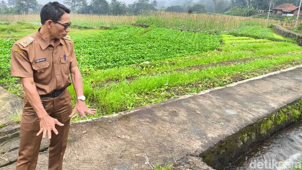 Suasana pertanian dan penampungan air Pamsimas di Desa Sukamukti Kuningan Suasana pertanian dan penampungan air Pamsimas di Desa Sukamukti Kuningan