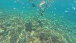 Foto Liburan Keluarga Wulan Guritno di Gili Meno