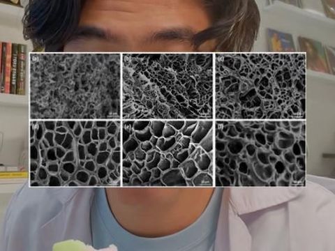 Alasan Es Gabus Bisa Seperti Spons